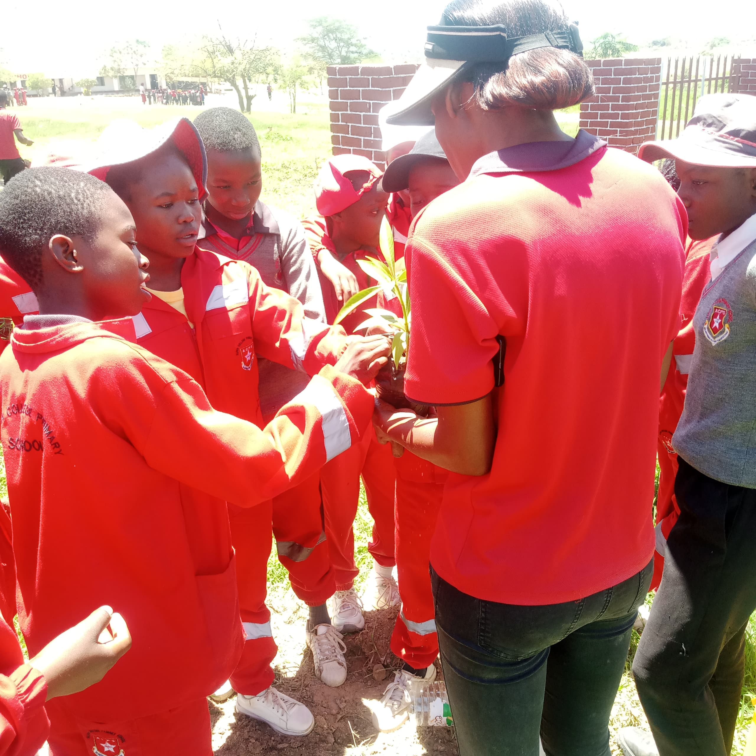 Volunteers coordinating outreach logistics